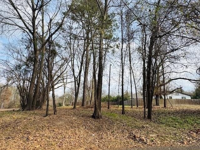 0.36 acres in Henderson County - photo 6