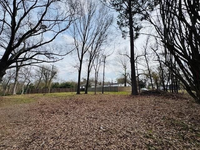 0.36 acres in Henderson County - photo 5