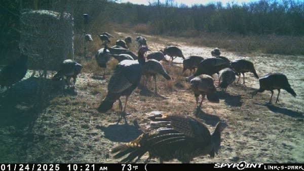 10.38 acres in Live Oak County - photo 14