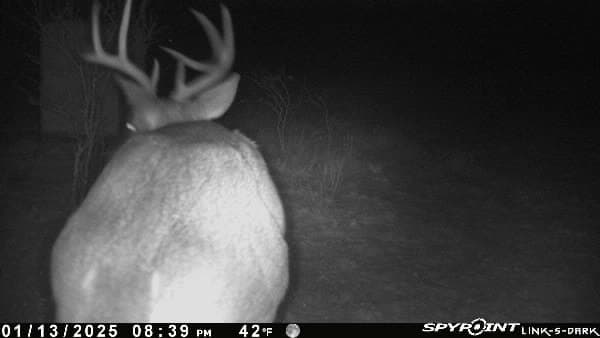 10.38 acres in Live Oak County - photo 17