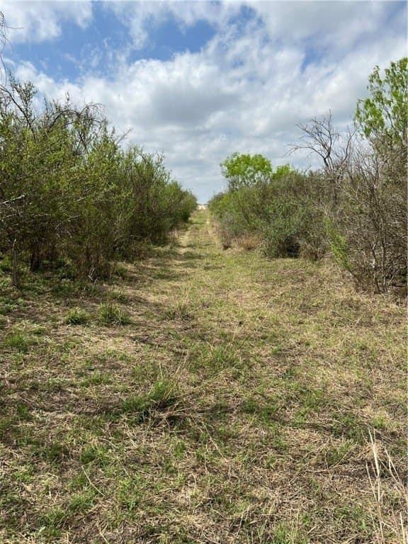 10.38 acres in Live Oak County - photo 7