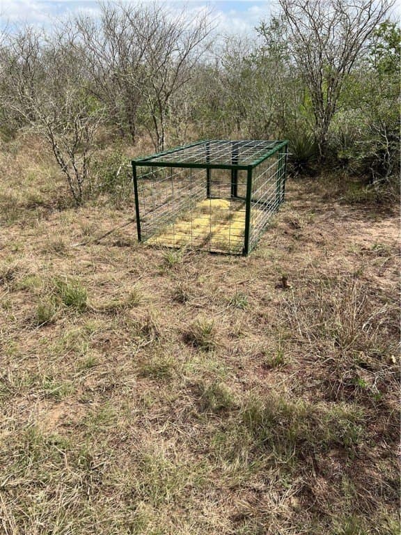 10.38 acres in Live Oak County - photo 4