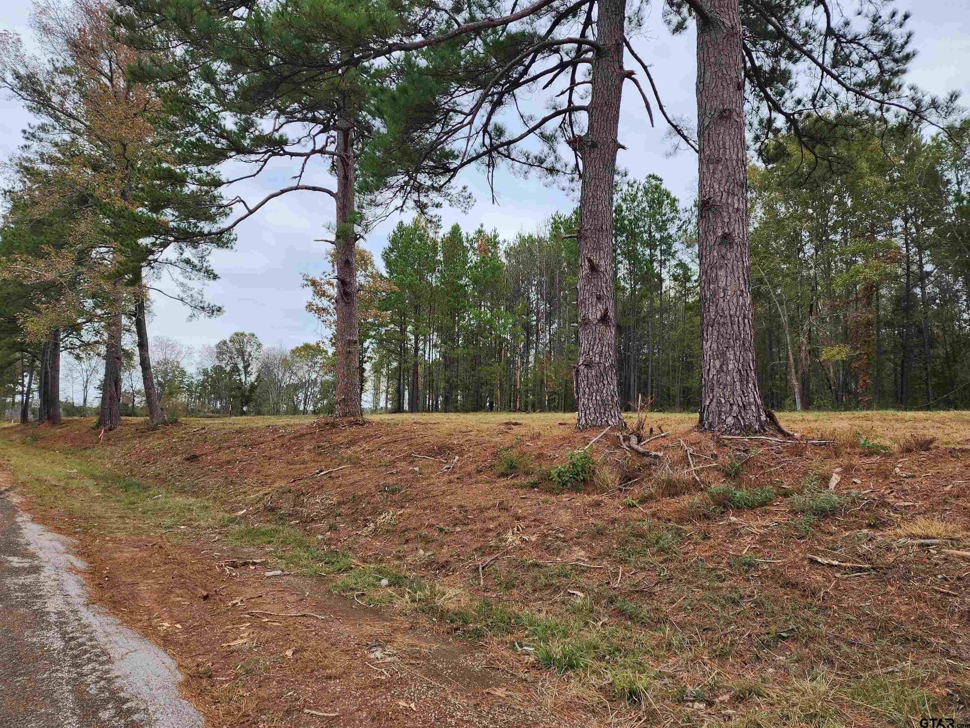 2.87 acres in Smith County - photo 9