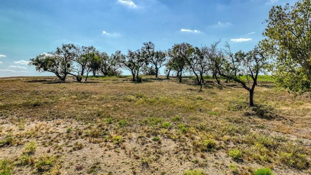 2 acres in Parker County - photo 8