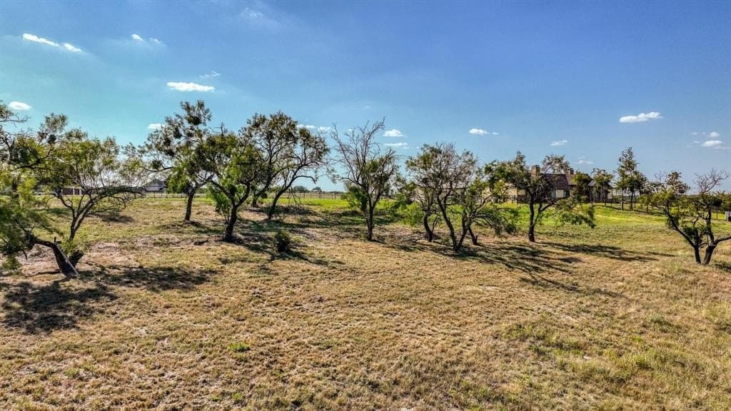 2 acres in Parker County - photo 7