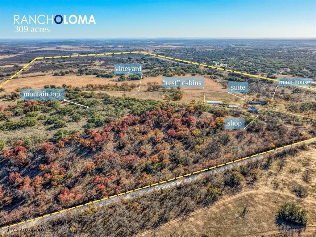 309 acres in Coleman County - photo 7