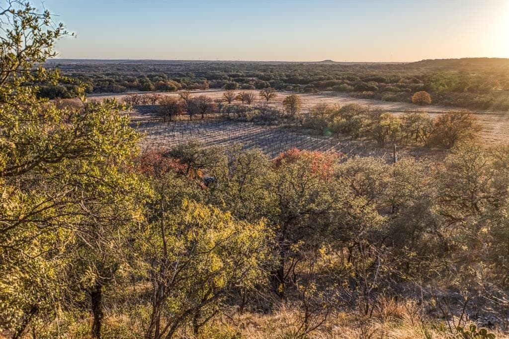 309 acres in Coleman County - photo 36