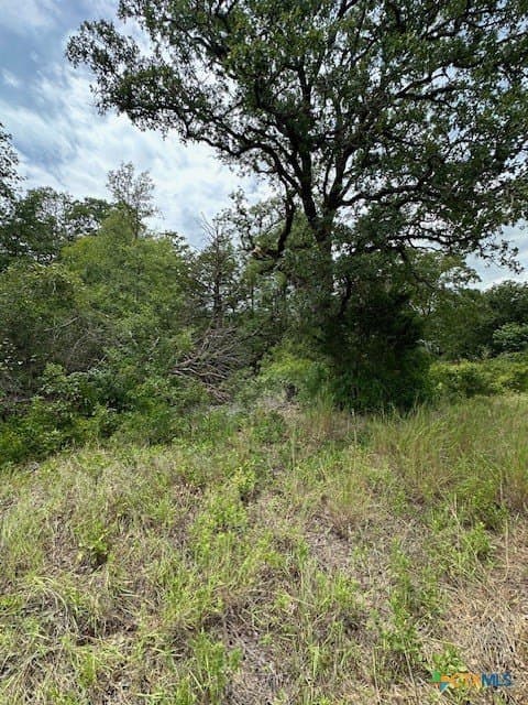 1.43 acres in Bastrop County - photo 4