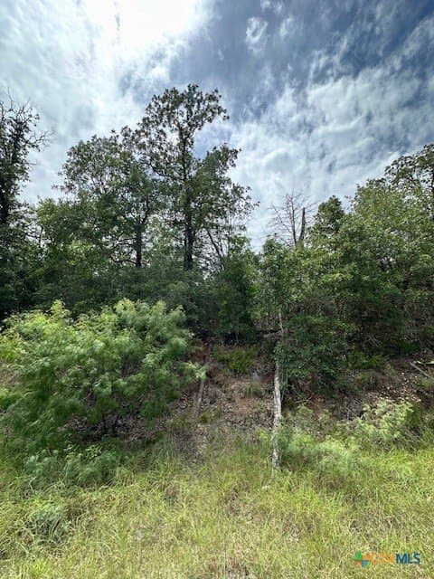 1.43 acres in Bastrop County - photo 3