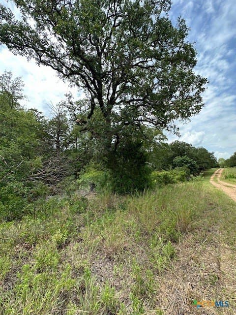 1.43 acres in Bastrop County - photo 5