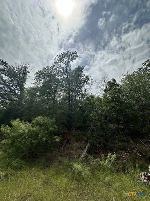 1.43 acres in Bastrop County - photo 2