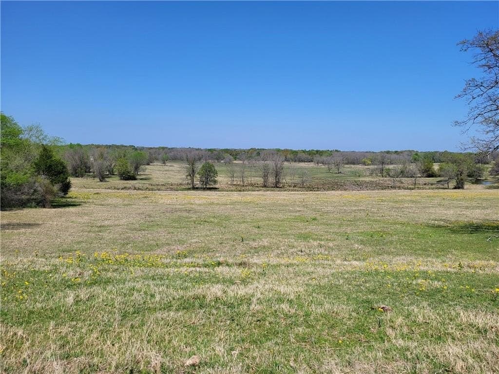 185.8 acres in Limestone County - photo 26