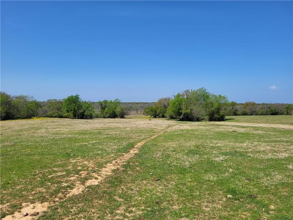 185.8 acres in Limestone County - photo 18