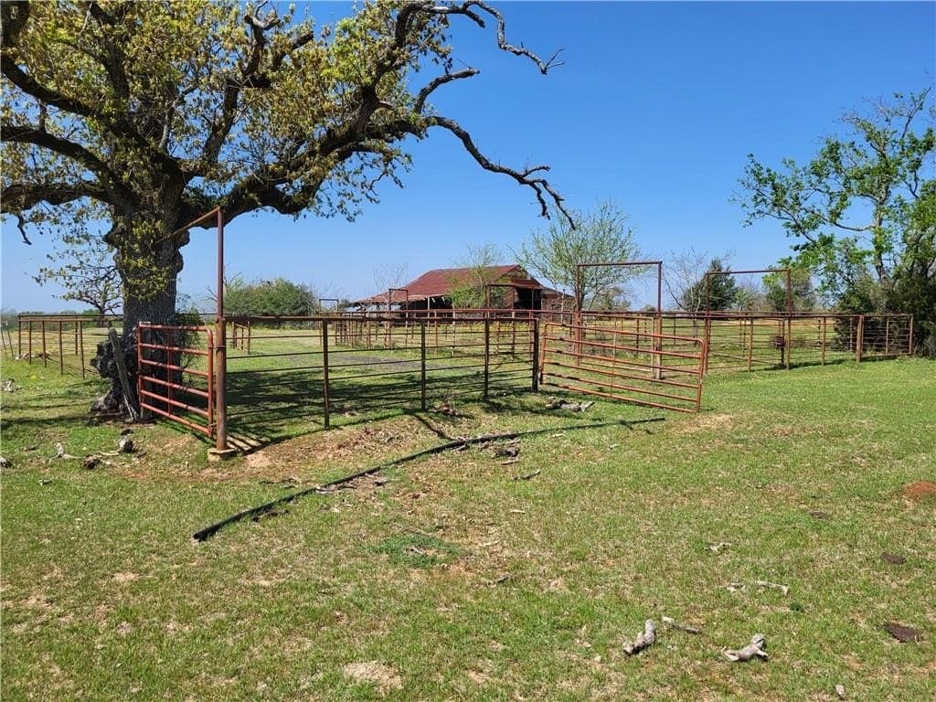 185.8 acres in Limestone County - photo 11