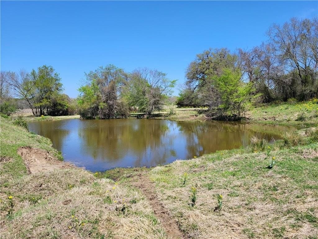 185.8 acres in Limestone County - photo 23