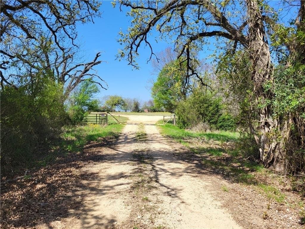185.8 acres in Limestone County - photo 5