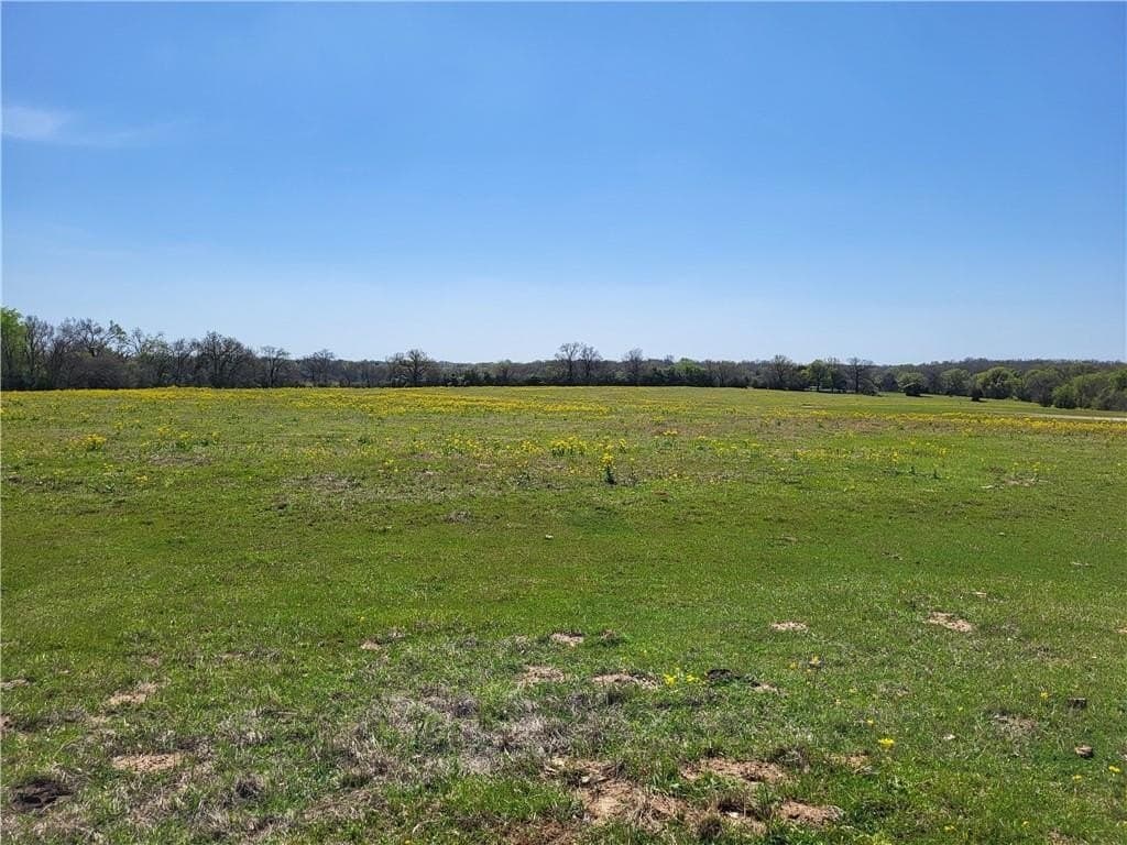 185.8 acres in Limestone County - photo 17