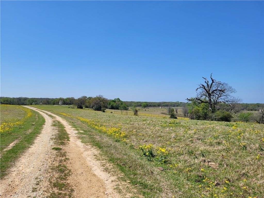 185.8 acres in Limestone County - photo 25