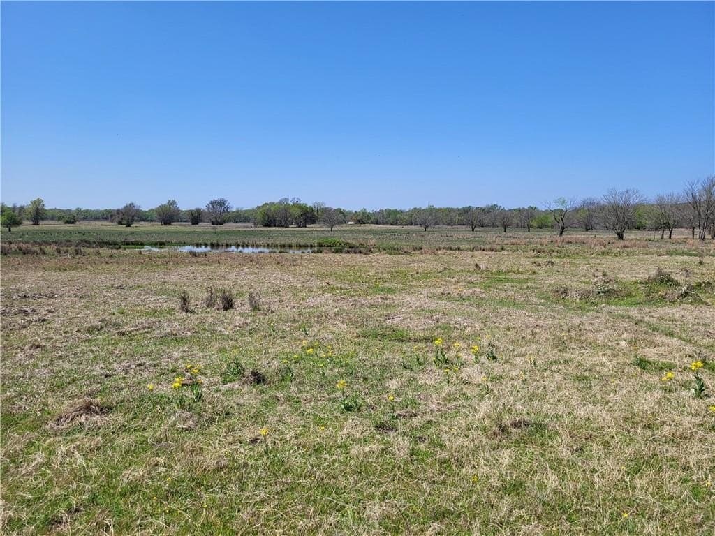 185.8 acres in Limestone County - photo 24