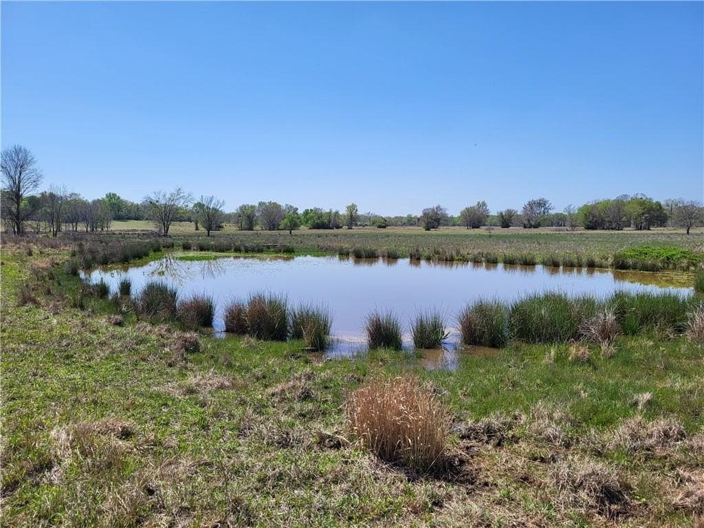 185.8 acres in Limestone County - photo 12