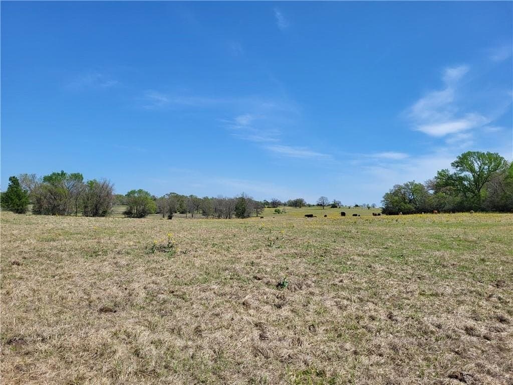 185.8 acres in Limestone County - photo 28