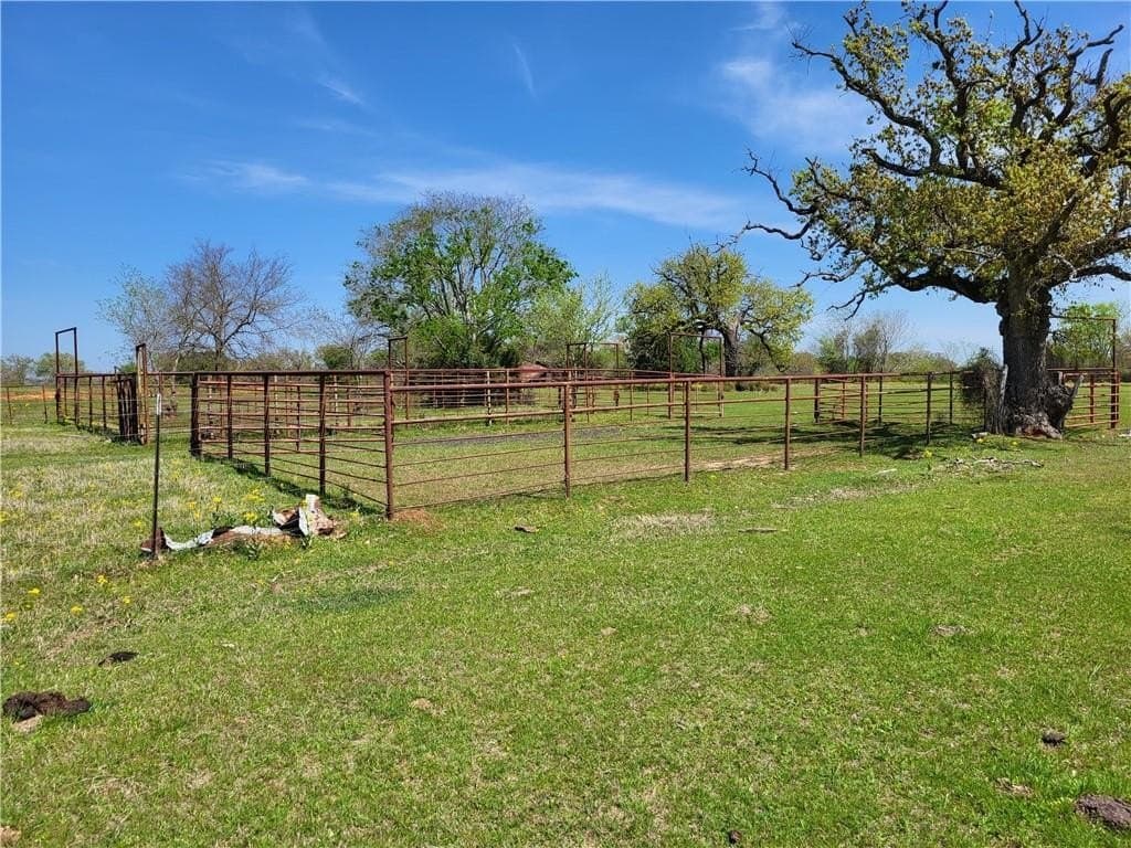 185.8 acres in Limestone County - photo 10