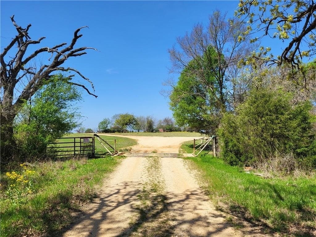 185.8 acres in Limestone County - photo 6