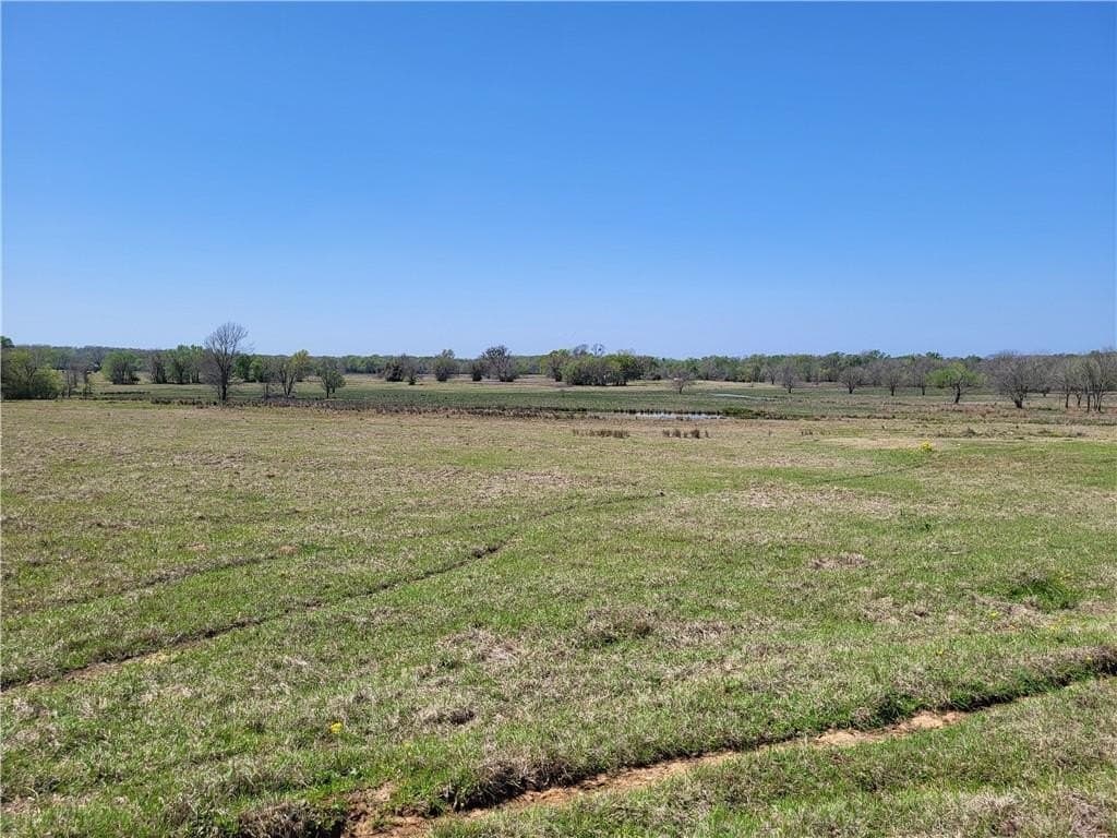 185.8 acres in Limestone County - photo 22