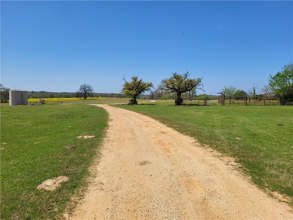 185.8 acres in Limestone County - photo 8