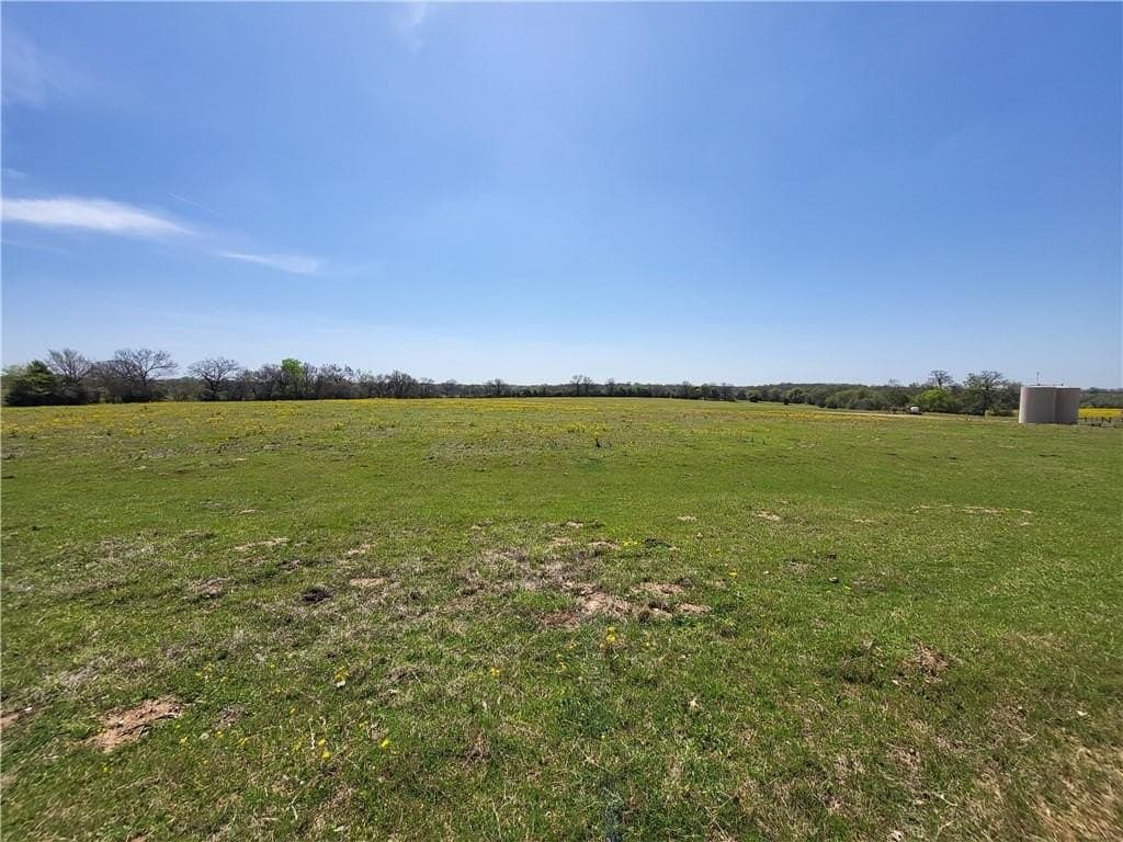 185.8 acres in Limestone County - photo 16