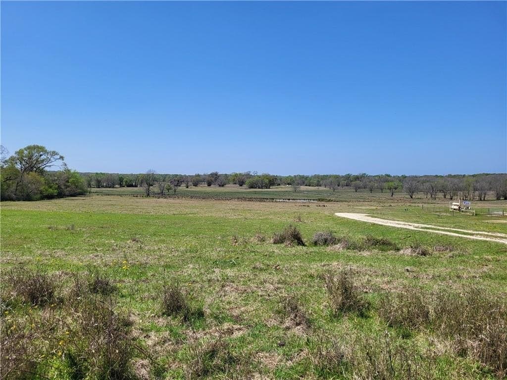 185.8 acres in Limestone County - photo 20