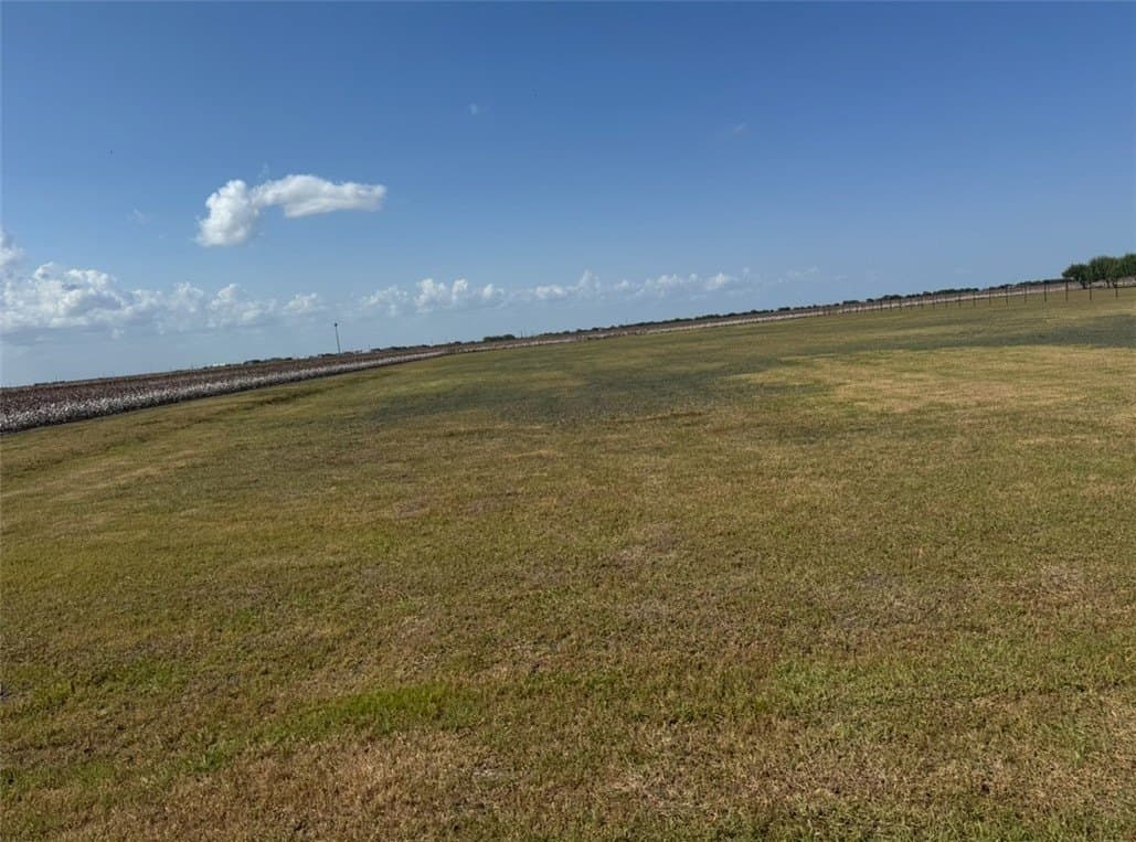 2 acres in Nueces County - photo 4