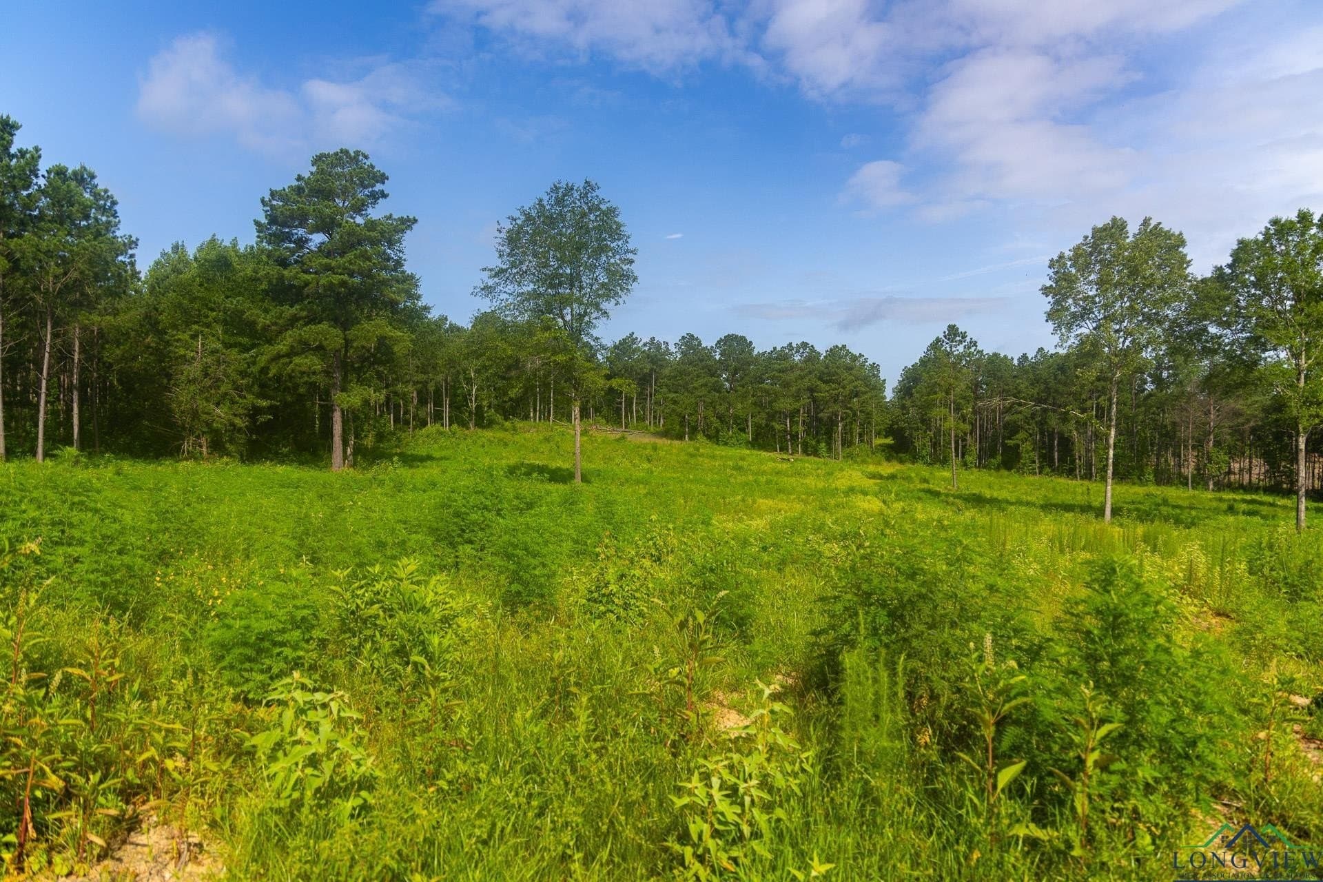 11.56 acres in Upshur County - photo 6