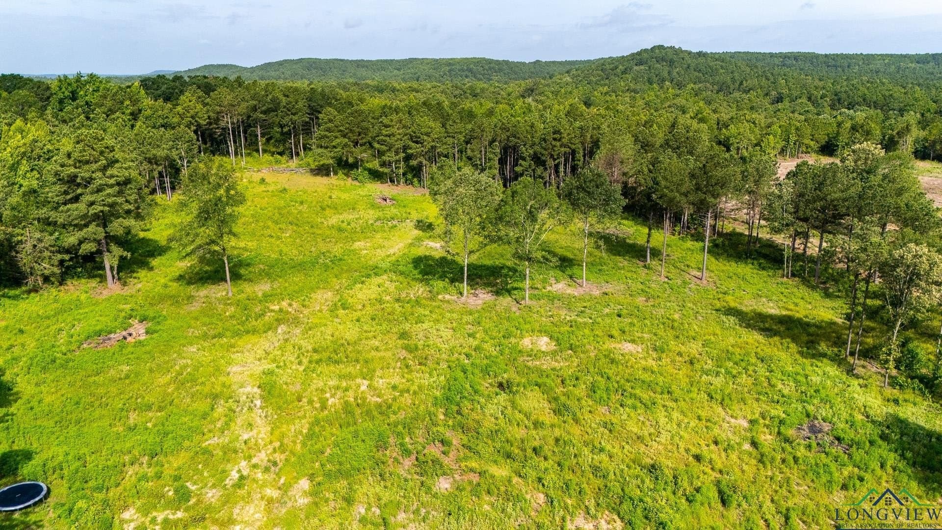 11.56 acres in Upshur County - photo 3
