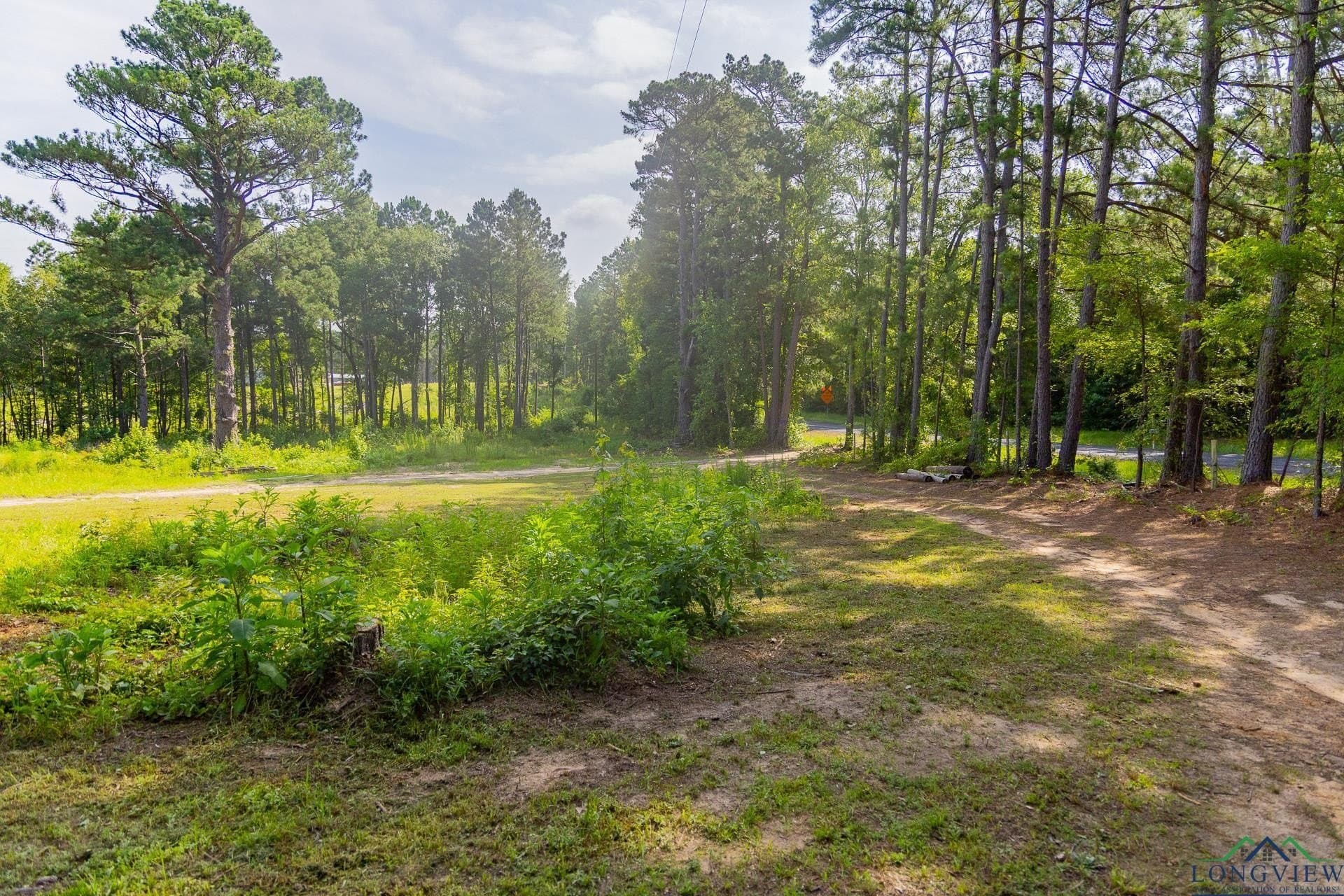 11.56 acres in Upshur County - photo 9