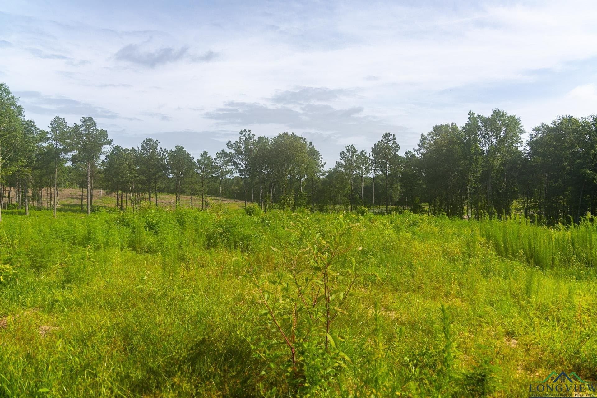 11.56 acres in Upshur County - photo 7