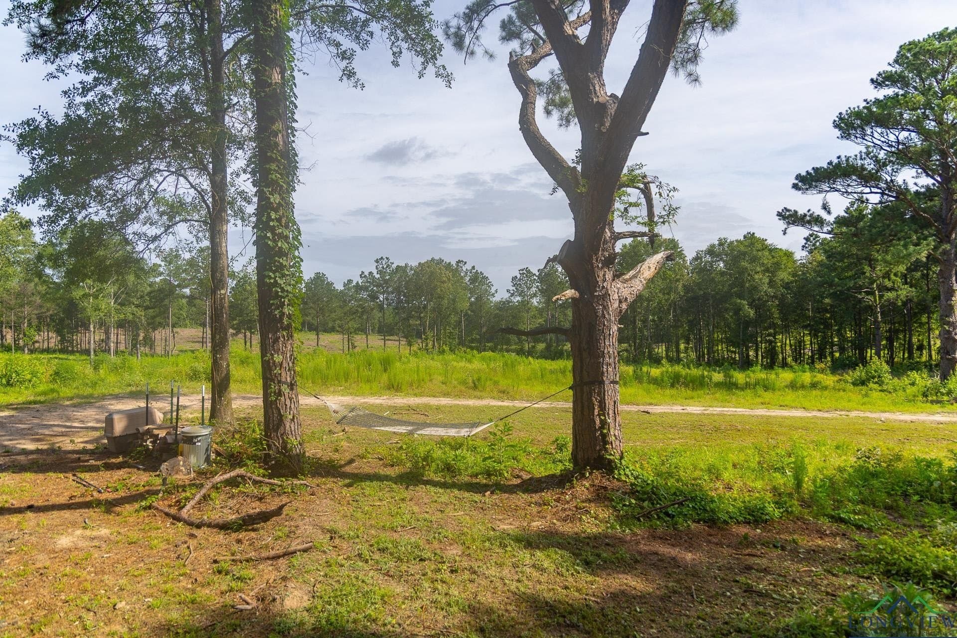 11.56 acres in Upshur County - photo 8