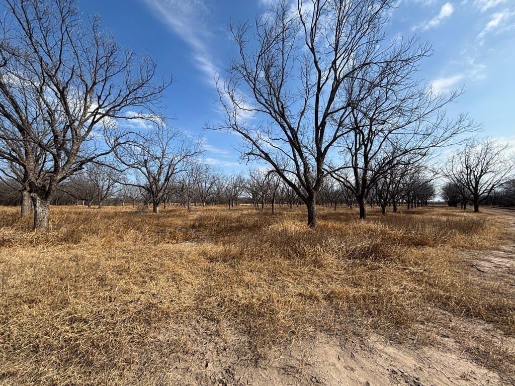 5 acres in Maverick County - photo 4