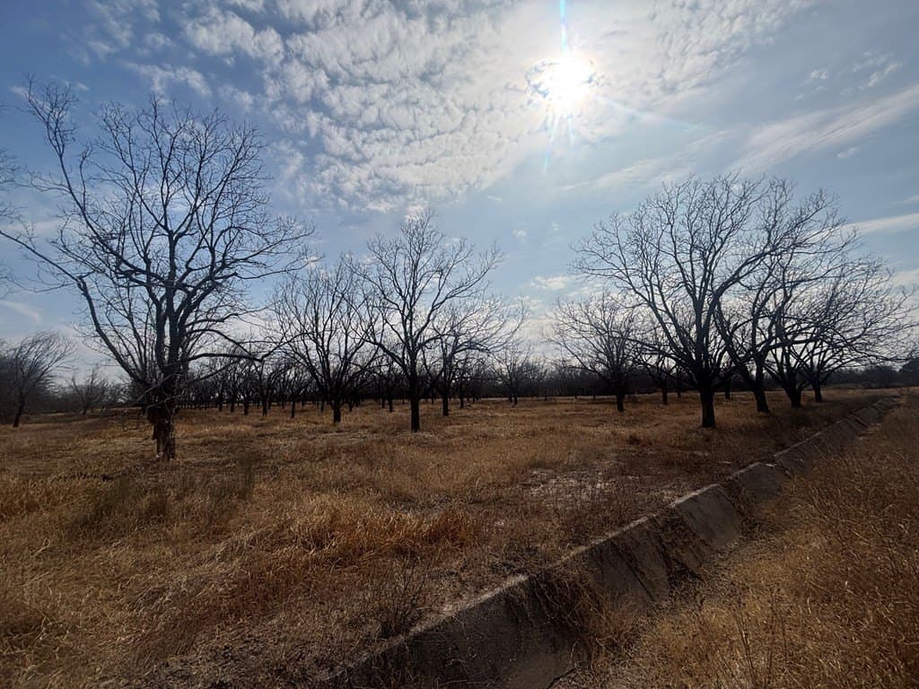 5 acres in Maverick County - photo 2