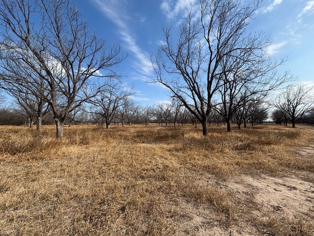 5 acres in Maverick County - photo 3
