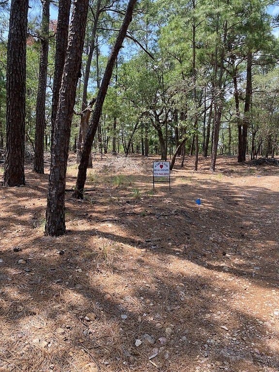 TBD Clear Lake Drive