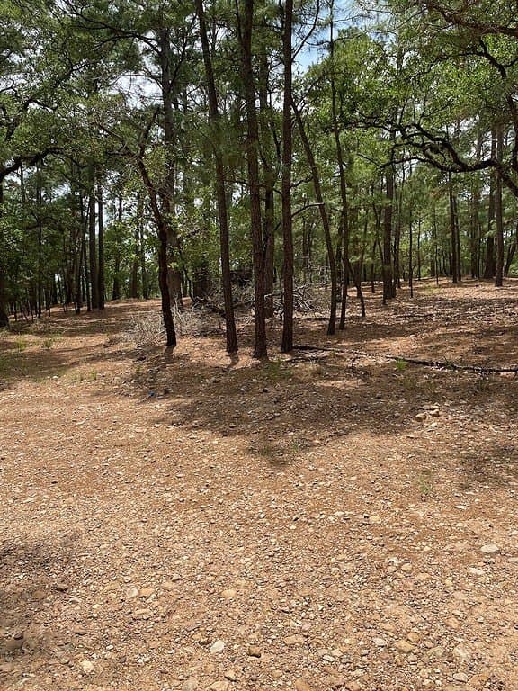 1.51 acres in Fayette County - photo 6