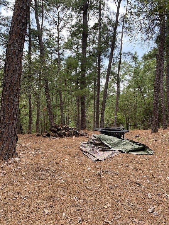 1.51 acres in Fayette County - photo 3