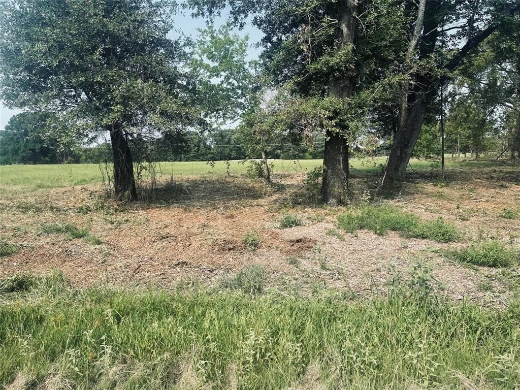 1.11 acres in Wood County - photo 23