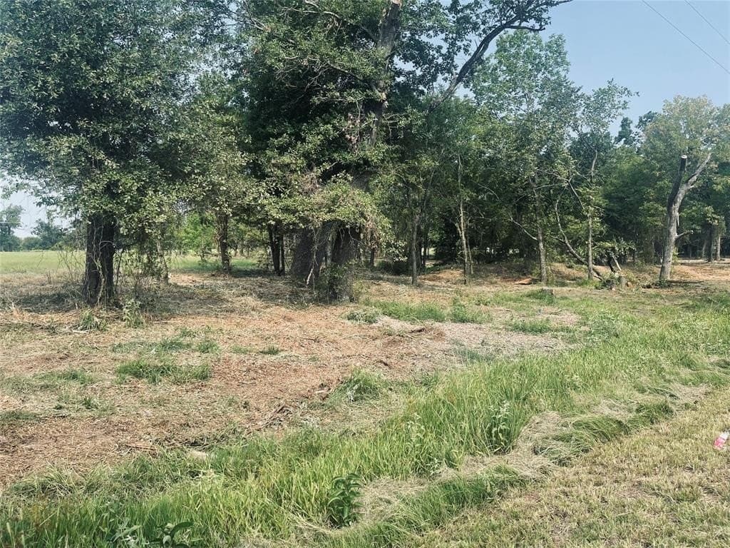 1.11 acres in Wood County - photo 4