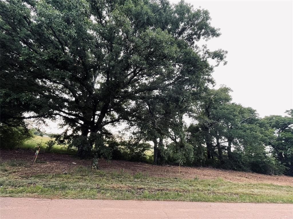 1.11 acres in Wood County - photo 13