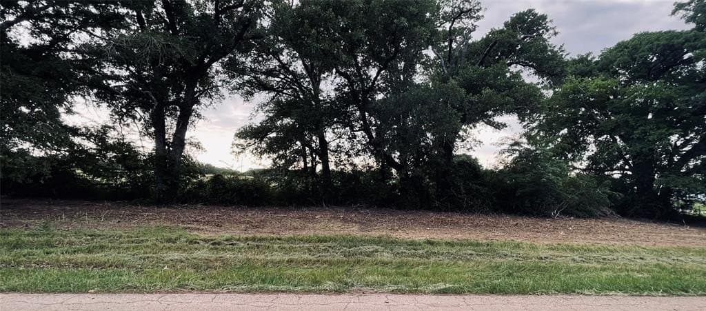 1.11 acres in Wood County - photo 5