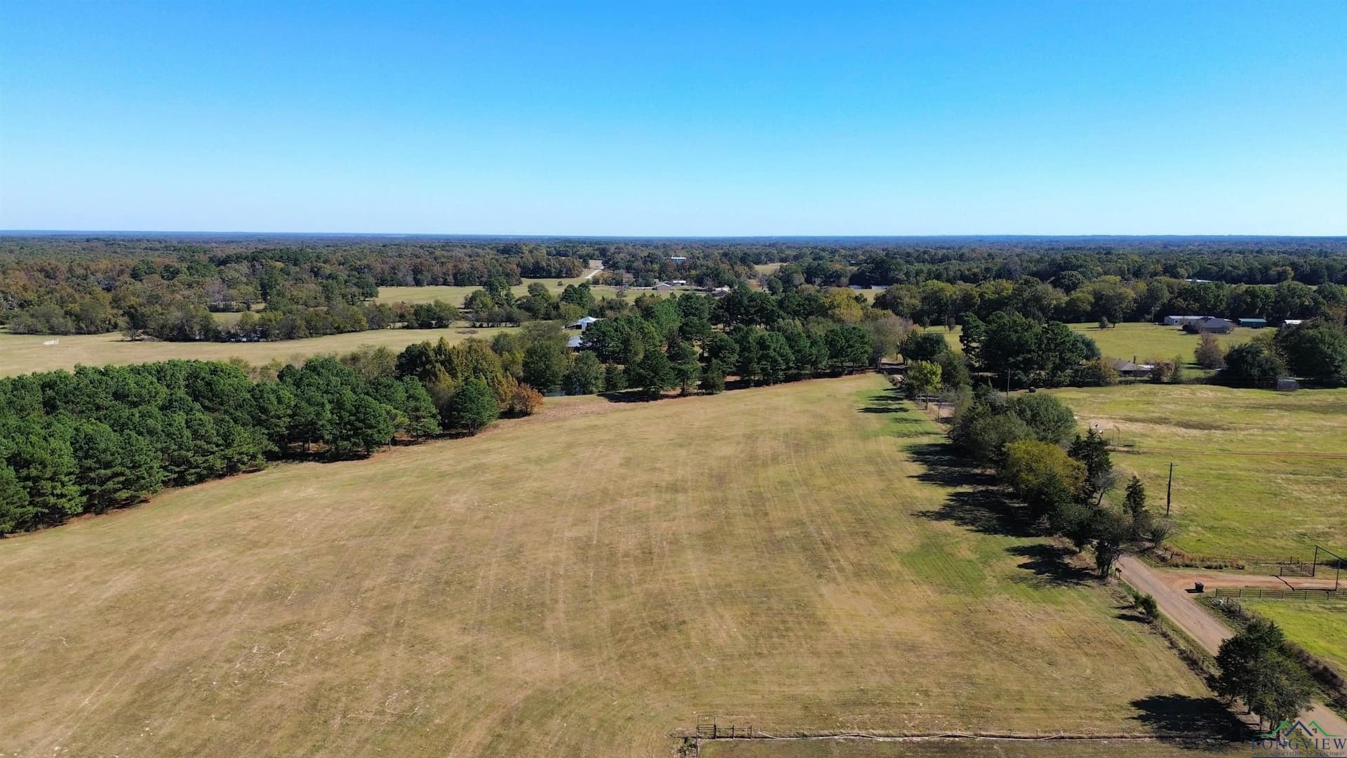 2 acres in Titus County - photo 2