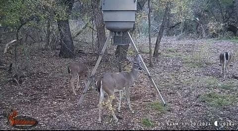 5.07 acres in Palo Pinto County - photo 19