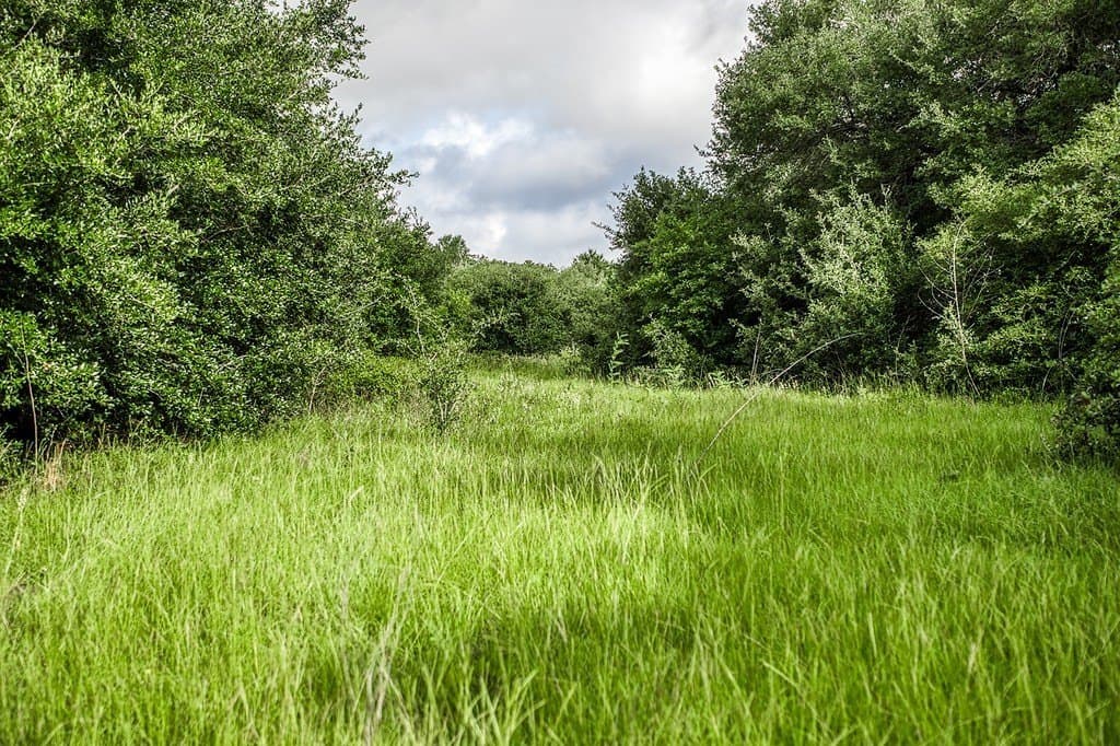 11.4 acres in Fayette County - photo 15